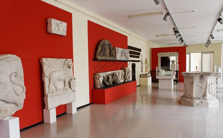 Muzeji Zadra
